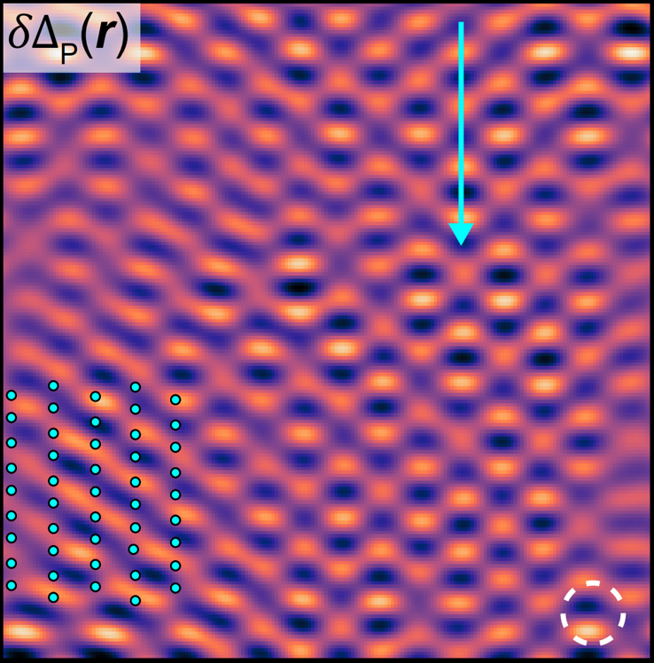 Wang Lab of Quantum Matter – Scanning tunneling microscopy in ...