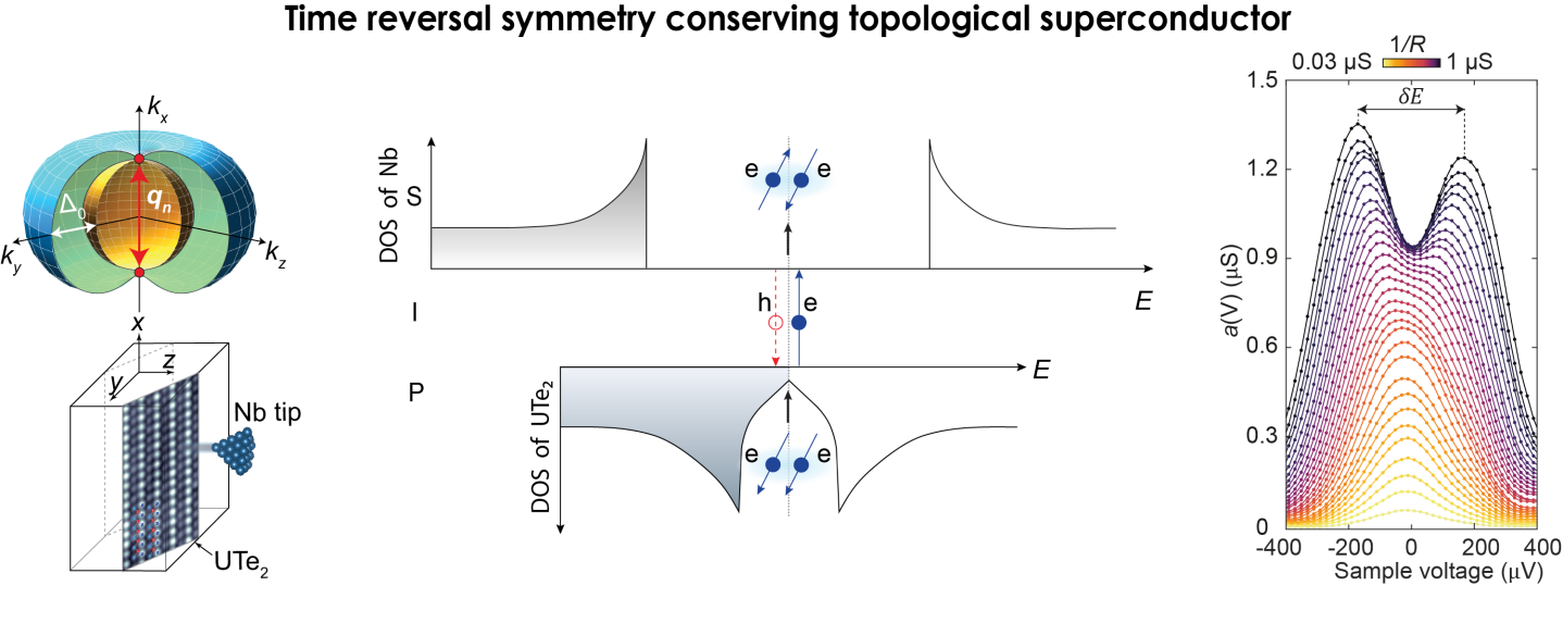 Wang Lab of Quantum Matter – Scanning tunneling microscopy in ...